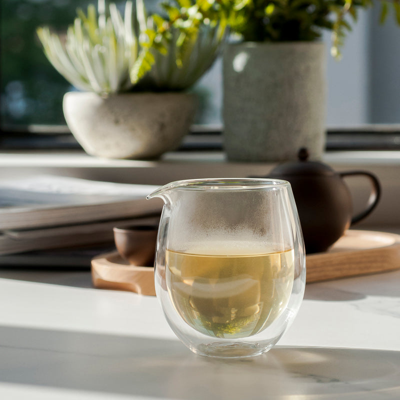 פיירנס ג'אג מזכוכית בעלת דופן כפולה 300 מ"ל מקולקציית פרו תה - PRO TEA 2023